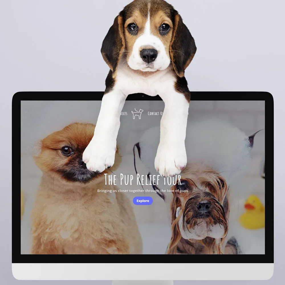 Pup Relief Tour website design by DJ Creative