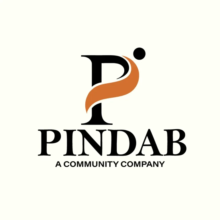 Pindab logo design by DJ Creative